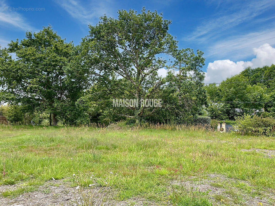 Terrain à SAINT-BRIAC-SUR-MER