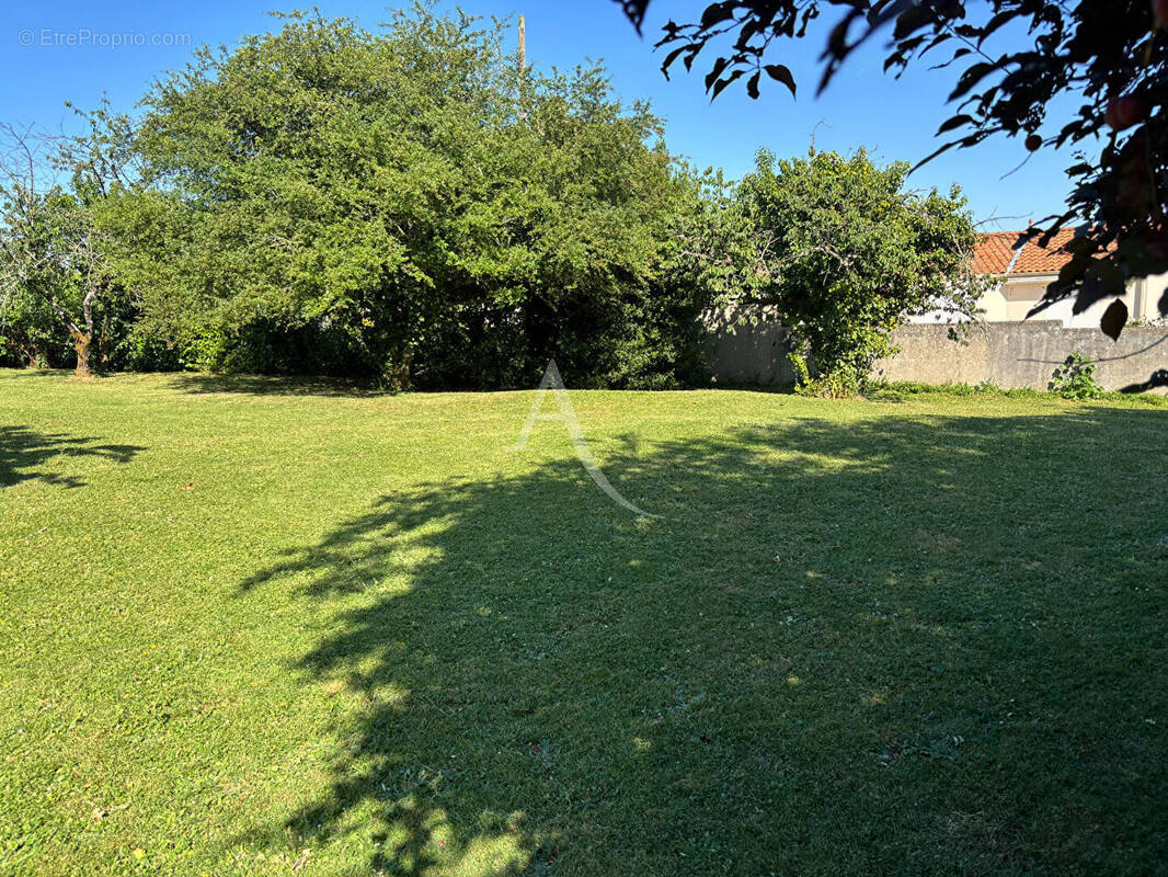 Terrain à FONTENAY-LE-COMTE