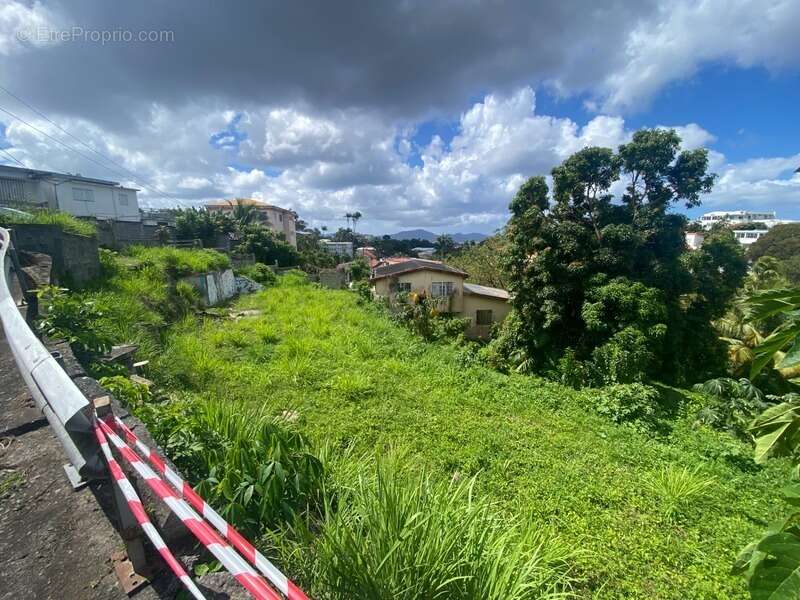 Terrain à FORT-DE-FRANCE