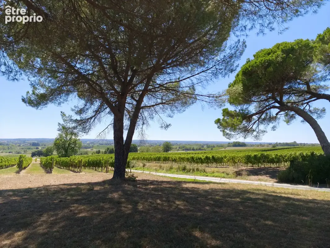 Propriété viticole avec maison, dépendances et vignoble ! - photo 6