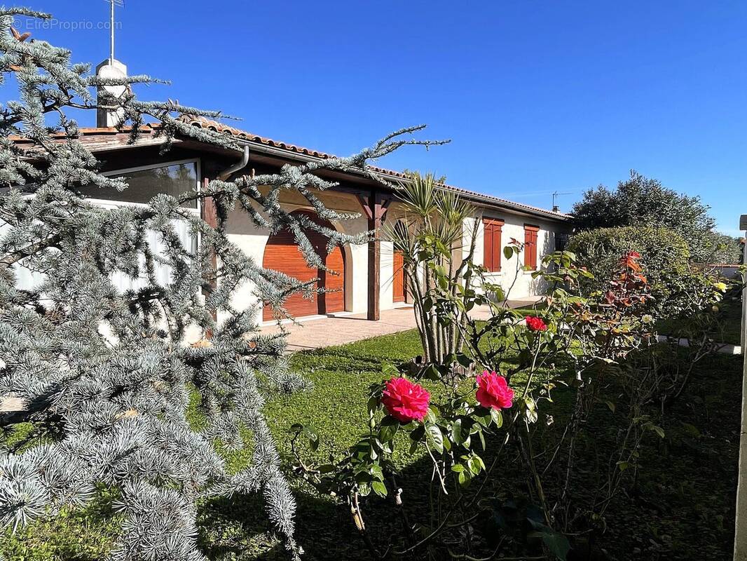 Maison à AMBARES-ET-LAGRAVE