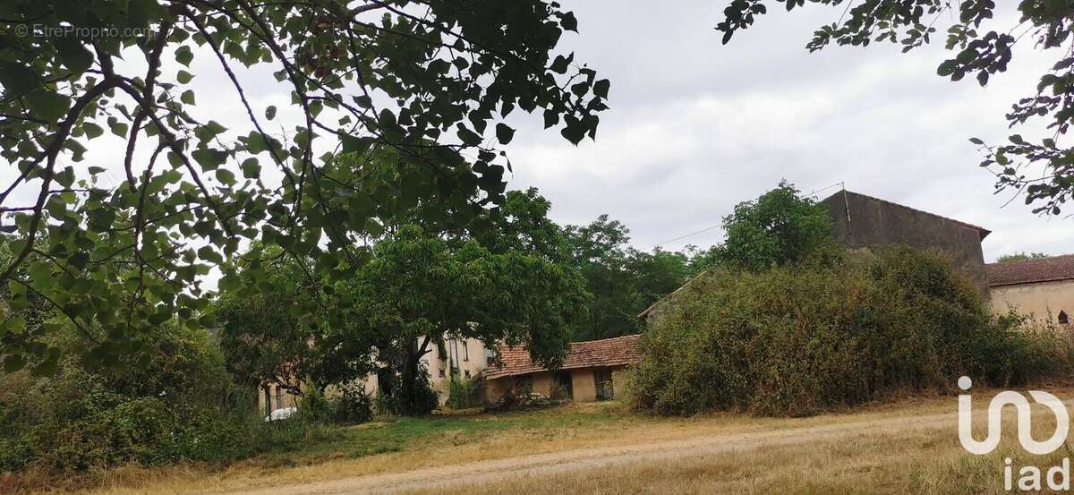 Photo 5 - Maison à MANSES