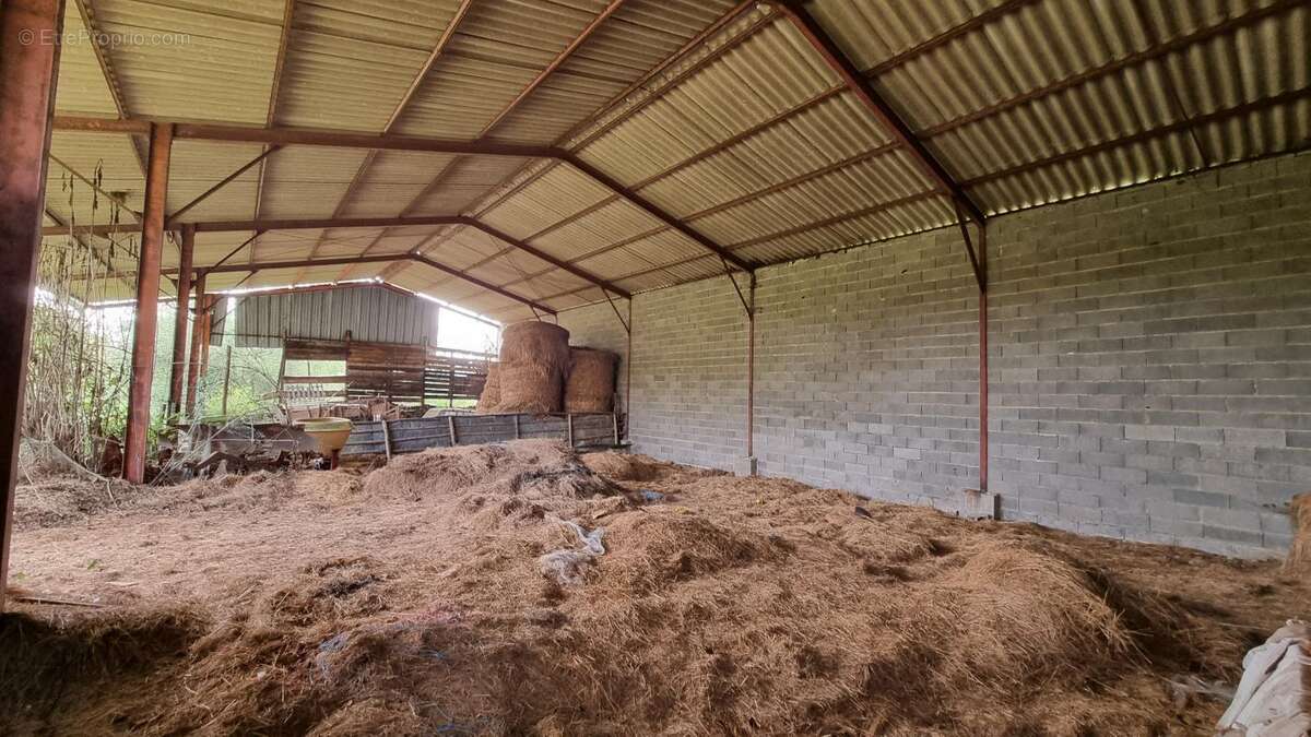 Maison à SAINT-FELIX-DE-VILLADEIX