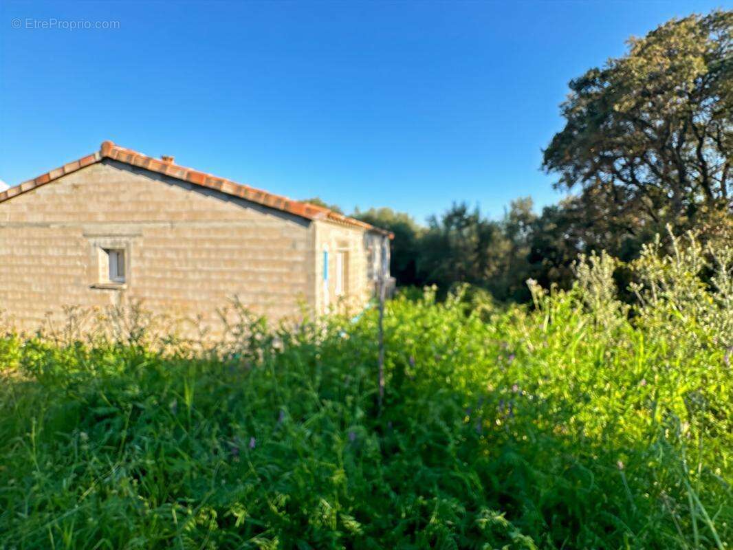 Maison à ALATA