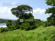 Terrain à FORT-DE-FRANCE
