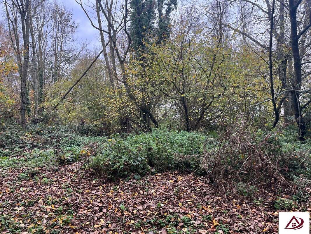 Terrain à SAINT-DENIS-SUR-SCIE