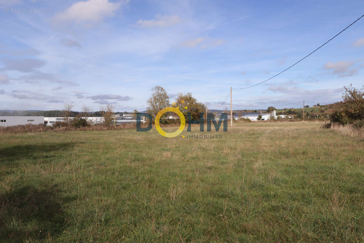 Terrain à SAINT-PAULIEN