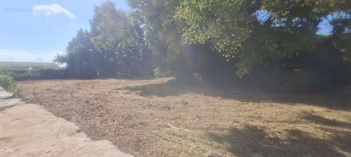 Terrain à SANILHAC-SAGRIES