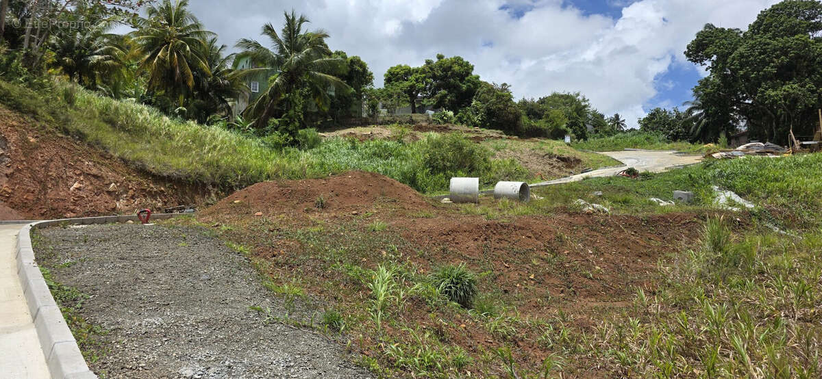 Terrain à SAINT-JOSEPH