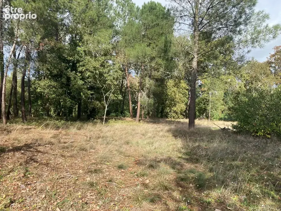Terrain 1 039 m² à vendre à Casteljaloux (47700) - photo 2