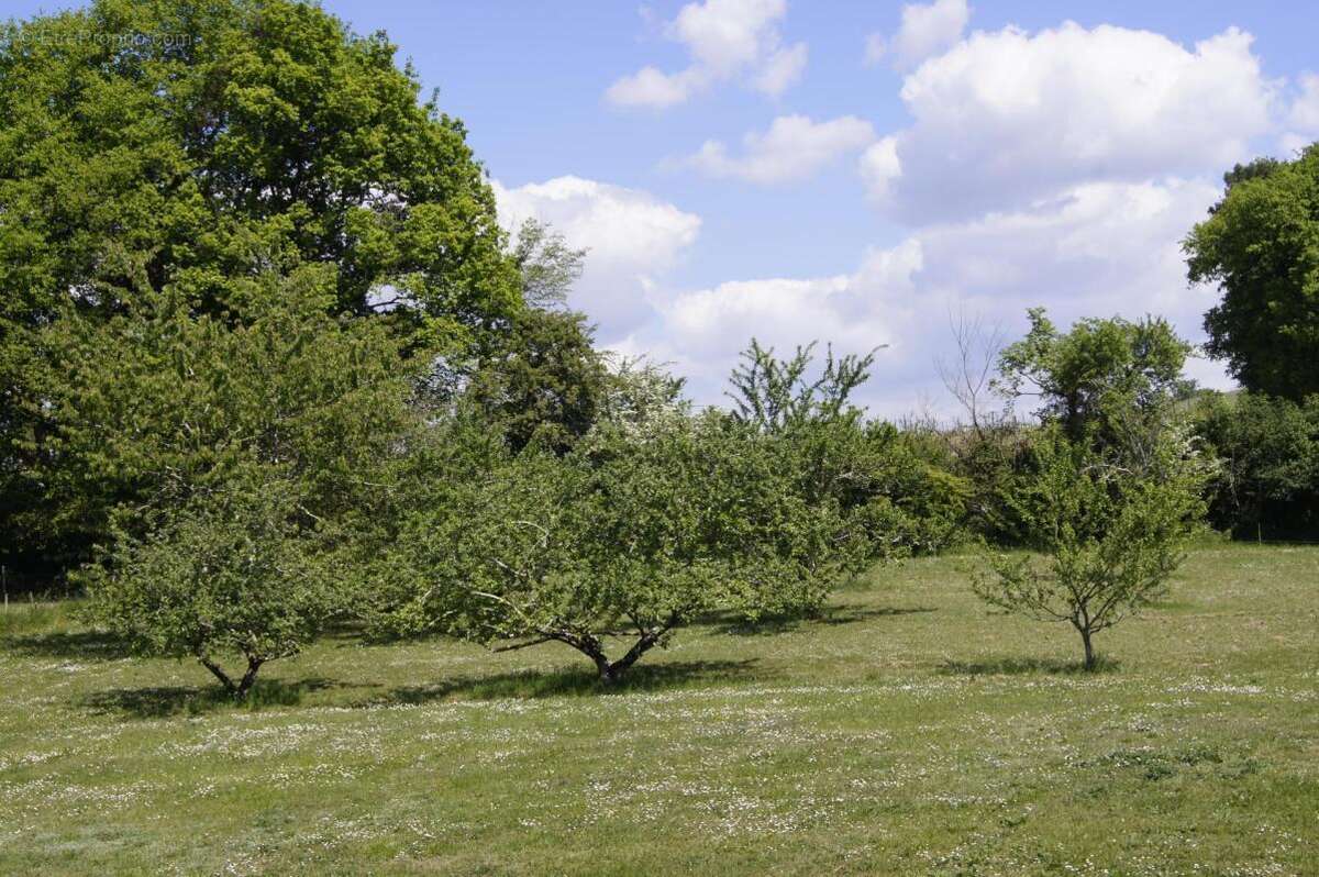 Croignon (gironde) - propriete de charme a la campagne - photo 8
