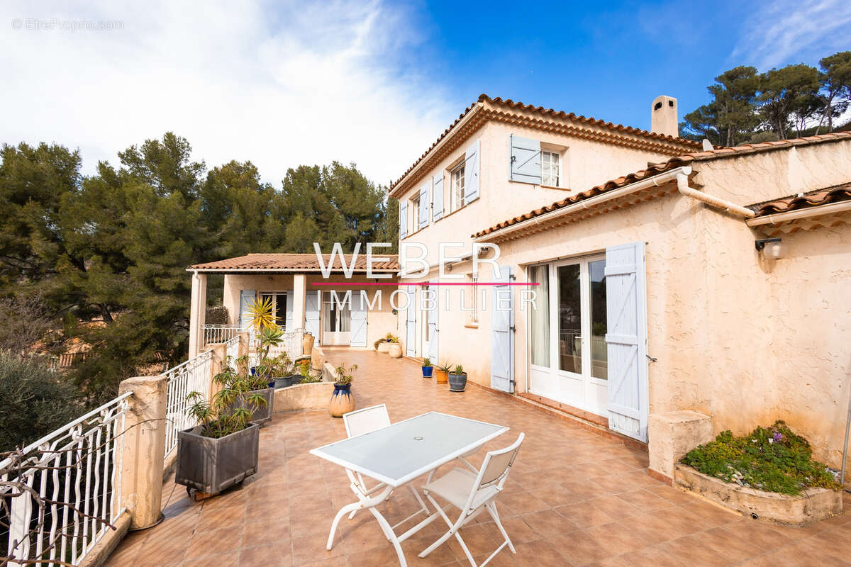 - ollioules - gros cerveau - maison 140 m2 + 2 appartements independants + 2800 m2 terrain - photo 13