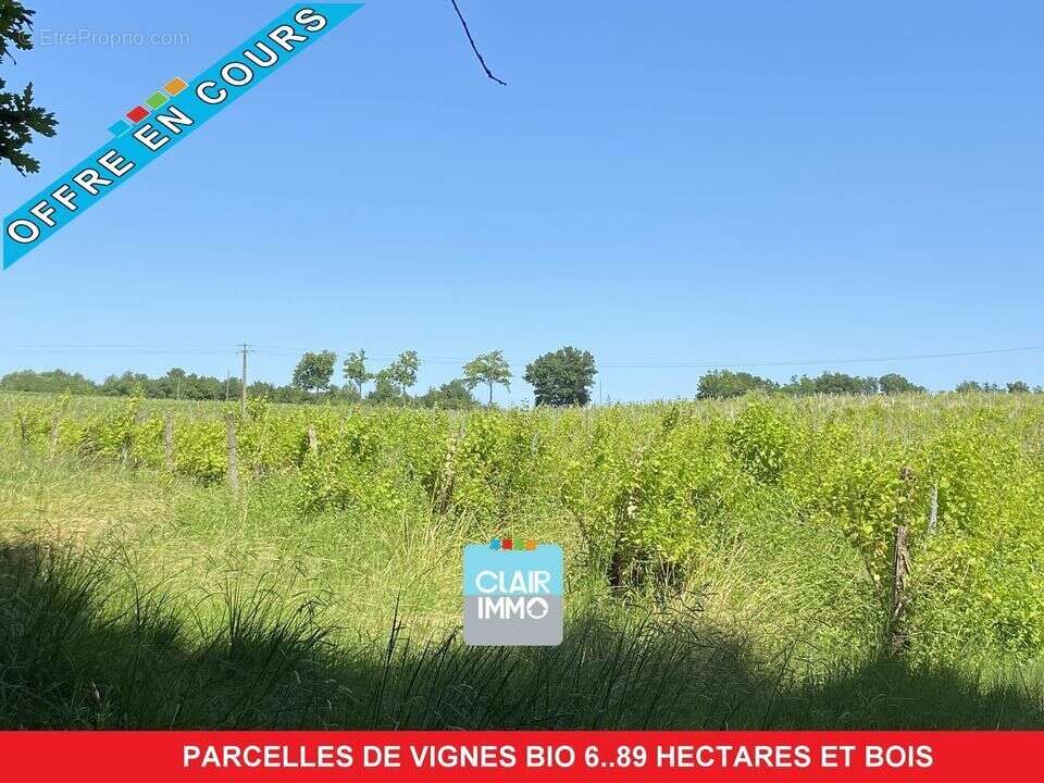 Terrain à Cazaubon  - photo 35