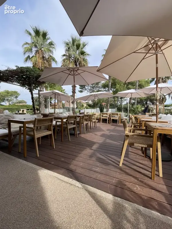 Bar à plancha..... au bord de mer ... à l'année Cote d'Azur - photo 7
