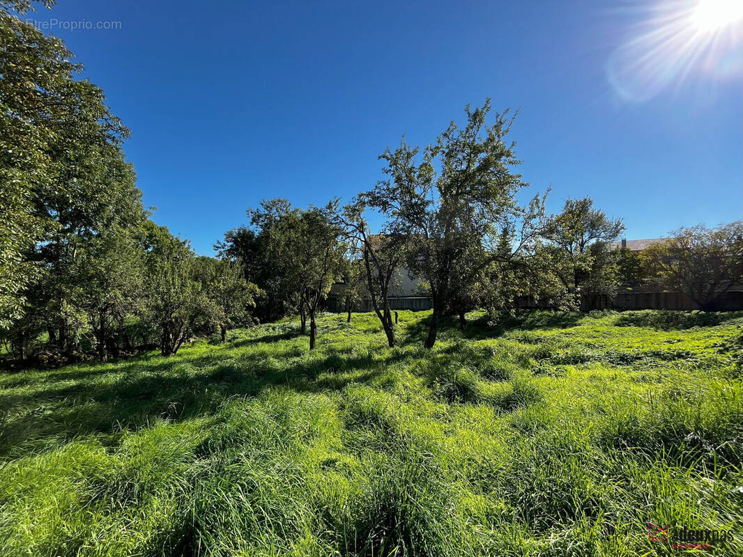 Terrain à SAINT-MAURICE-EN-GOURGOIS