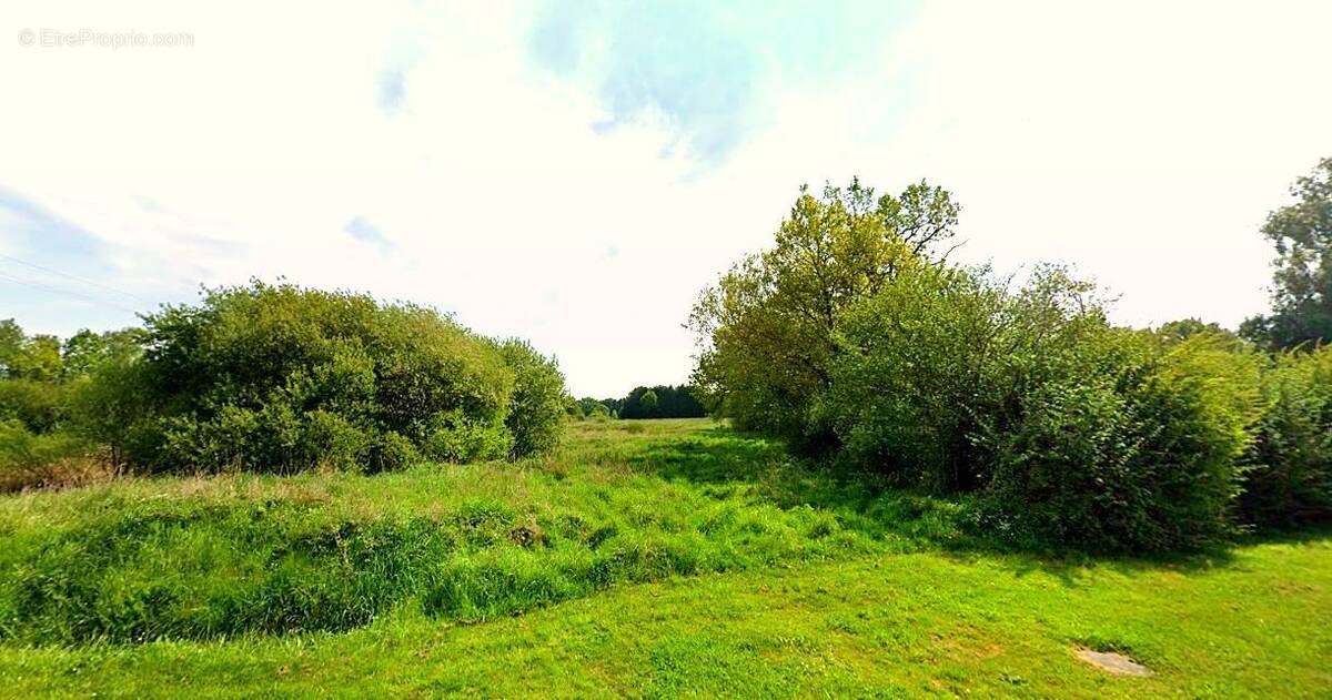 Terrain à CHANTEPIE