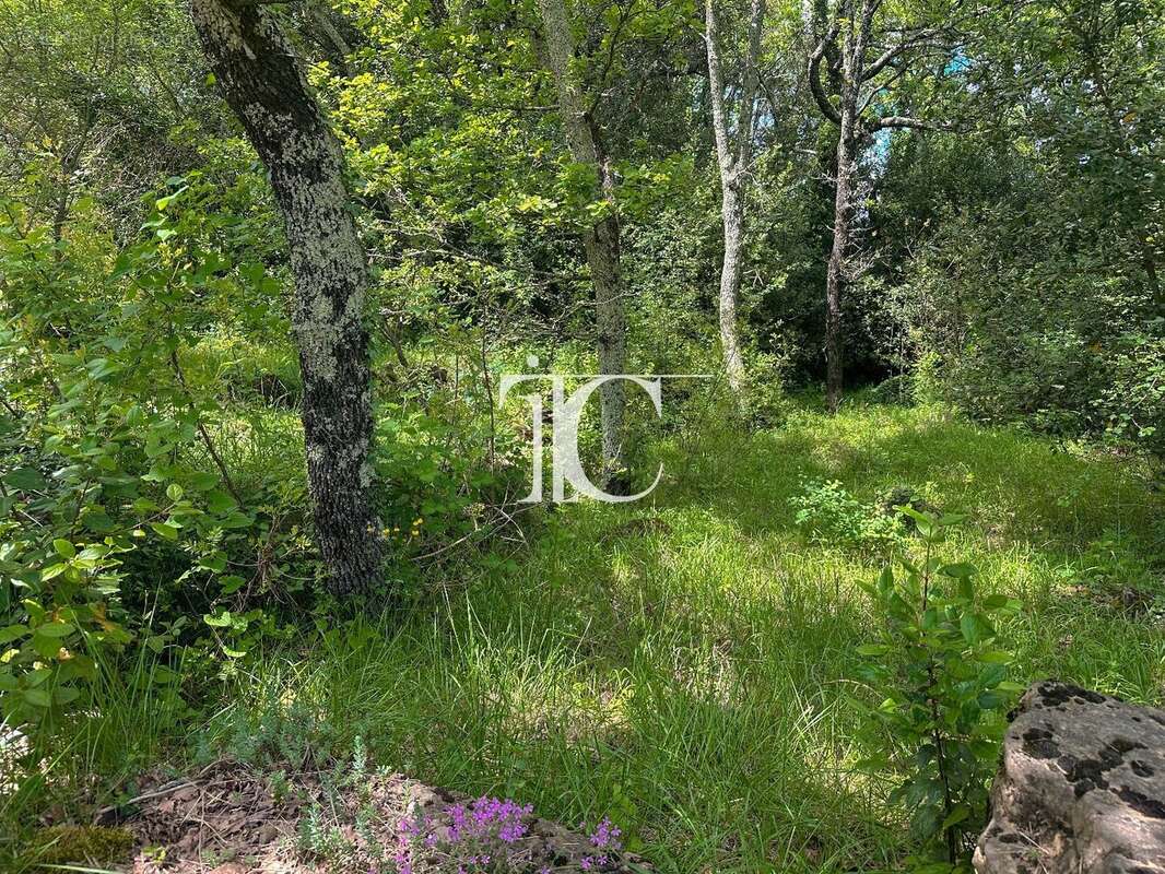 Terrain à MOLIERES-SUR-CEZE