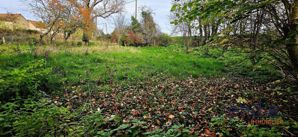 Terrain à AVERMES
