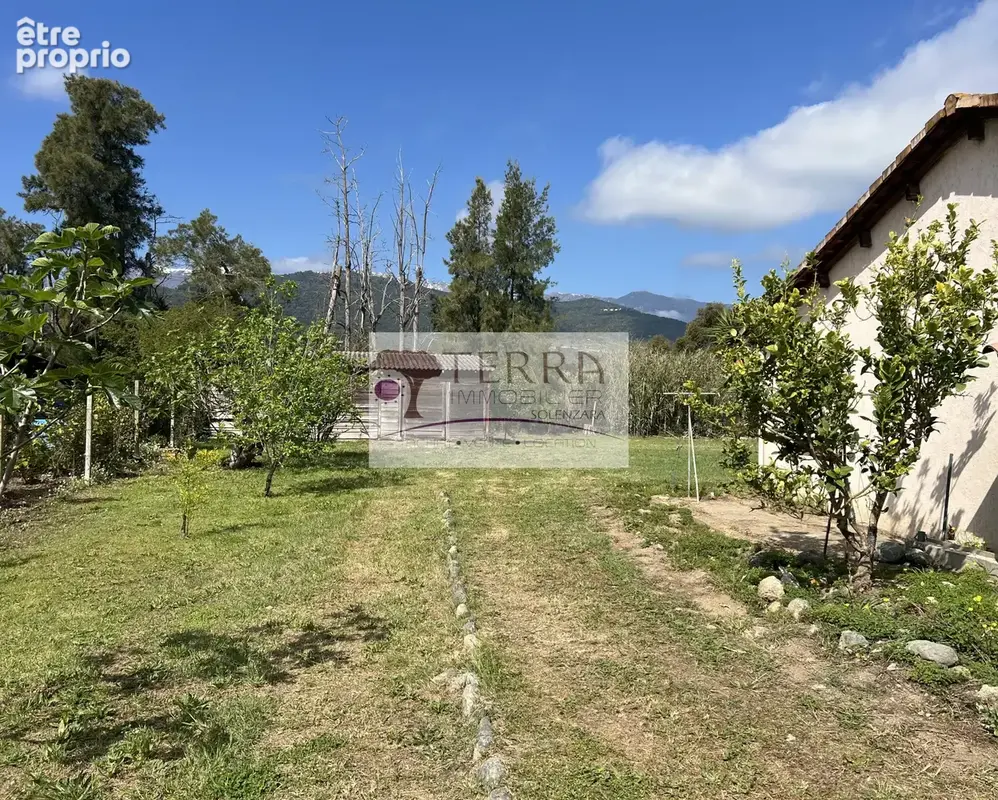 Villa f5/f6 de 190 m2 sur 2000 m2 plaine de prunelli di fiumorbo - photo 16