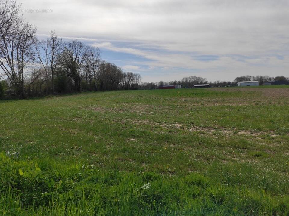 Terrain à BERNAY