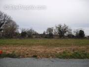 Terrain à COULONGES-SUR-L&#039;AUTIZE
