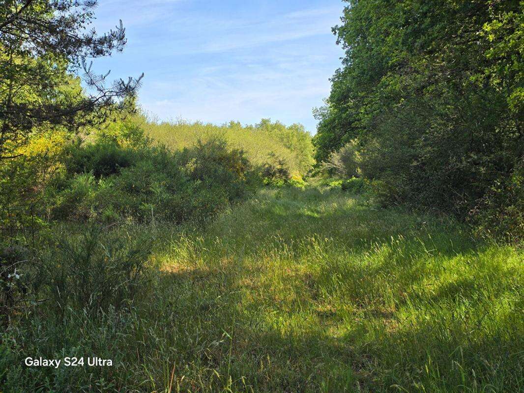 Terrain à MONTEREAU