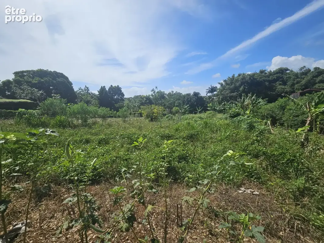 A SAISIR! Lotissement résidentiel de constructeur de 10 lots - photo 3