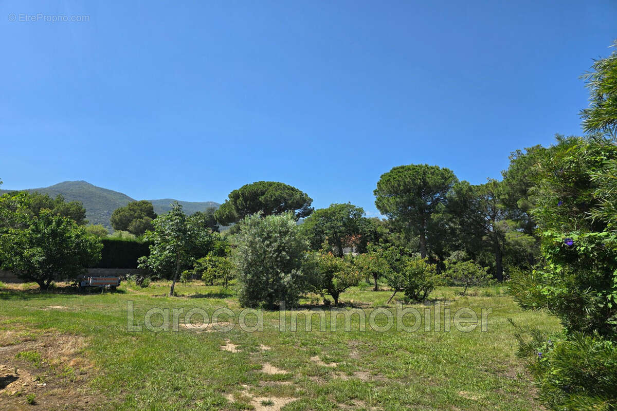 Terrain à LAROQUE-DES-ALBERES