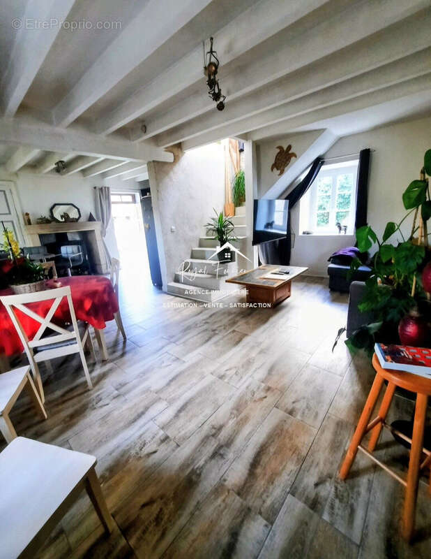 Séjour - Maison à LE PETIT-PRESSIGNY