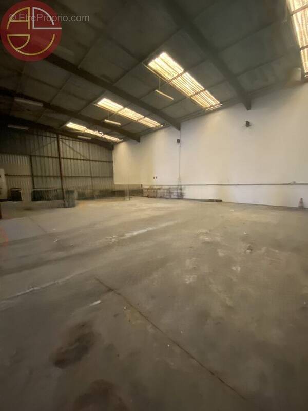 Commerce à SAINT-ALBAN