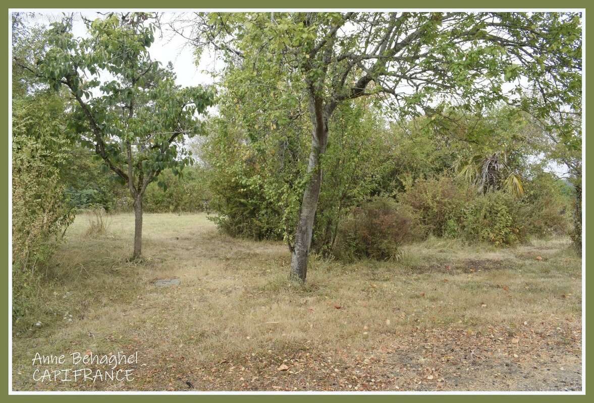 A vendre Condom - Maison individuelle 133m2 avec sous-sol - Terrain 5000m2 - photo 24