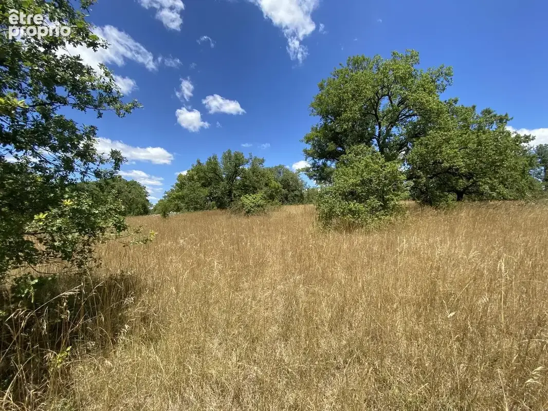 IMG3159