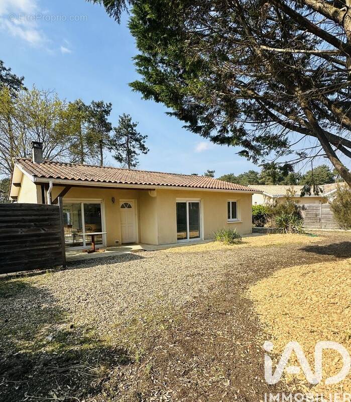 Photo 1 - Maison à VENDAYS-MONTALIVET