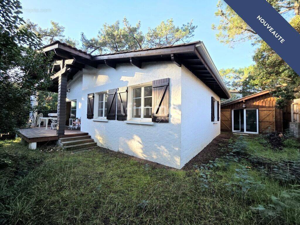 Maison à LEGE-CAP-FERRET