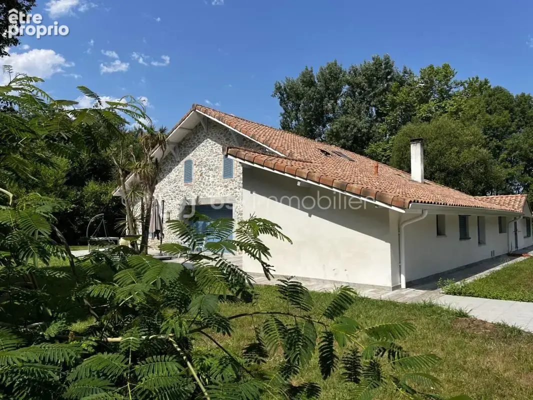 Exceptionnelle Ferme Landaise de 399 m² – Charme, Espace et Nature sur 6,7 hectares - photo 23