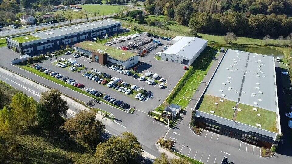 Commerce à SALLEBOEUF