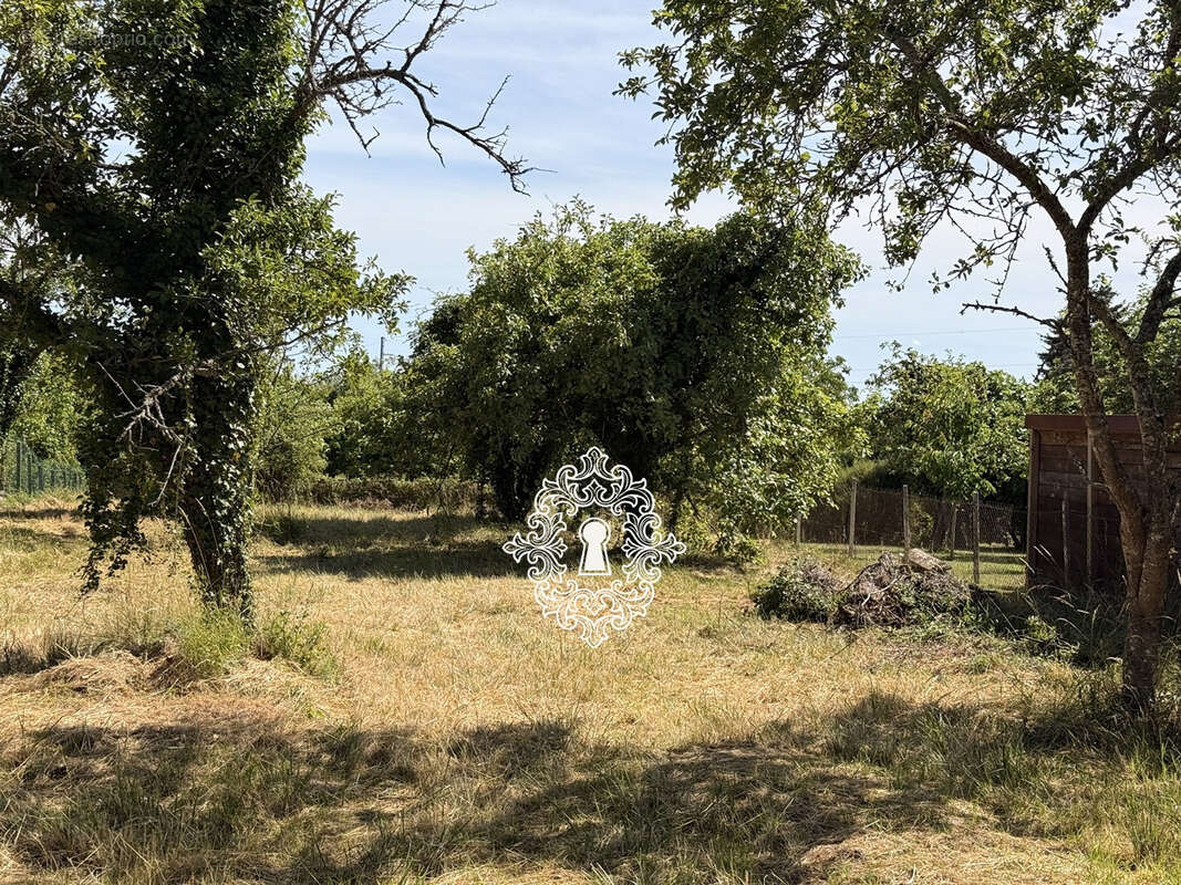 Région Donnemarie Dontilly - photo 19