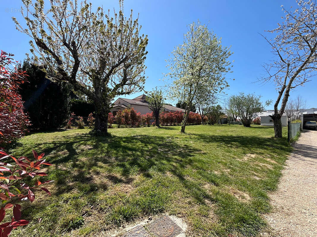 Terrain à CORNEBARRIEU