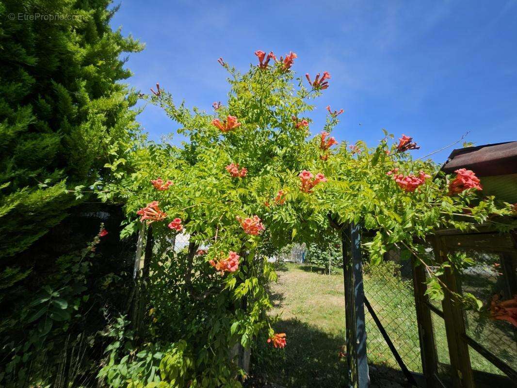 A pinon ! a proximite de tout ! - photo 9