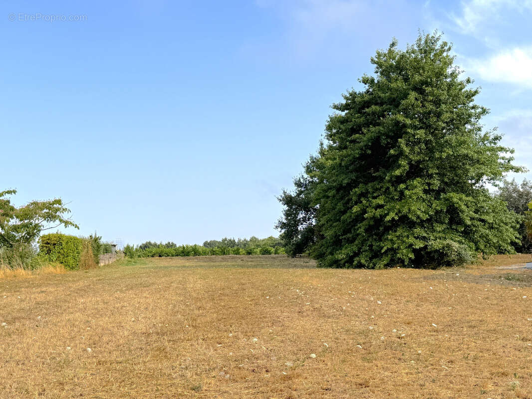 A vendre terrain constructible le pallet 44330 - photo 3
