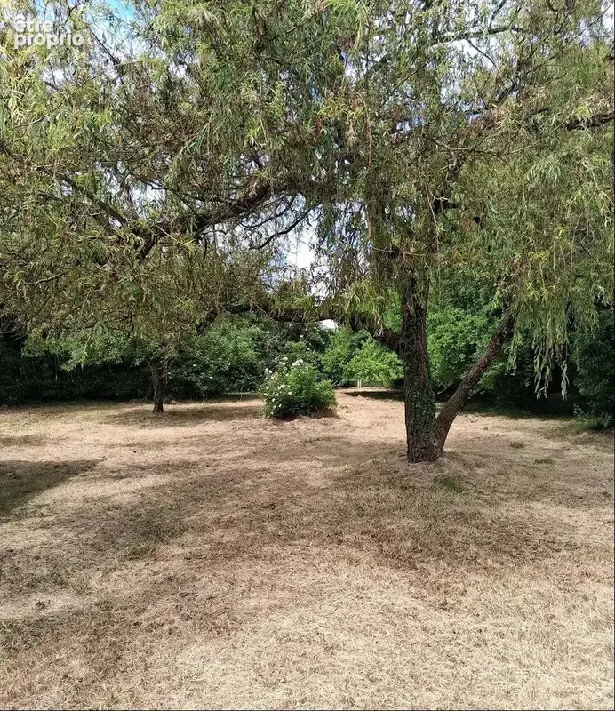Limite aube yonne - photo 3