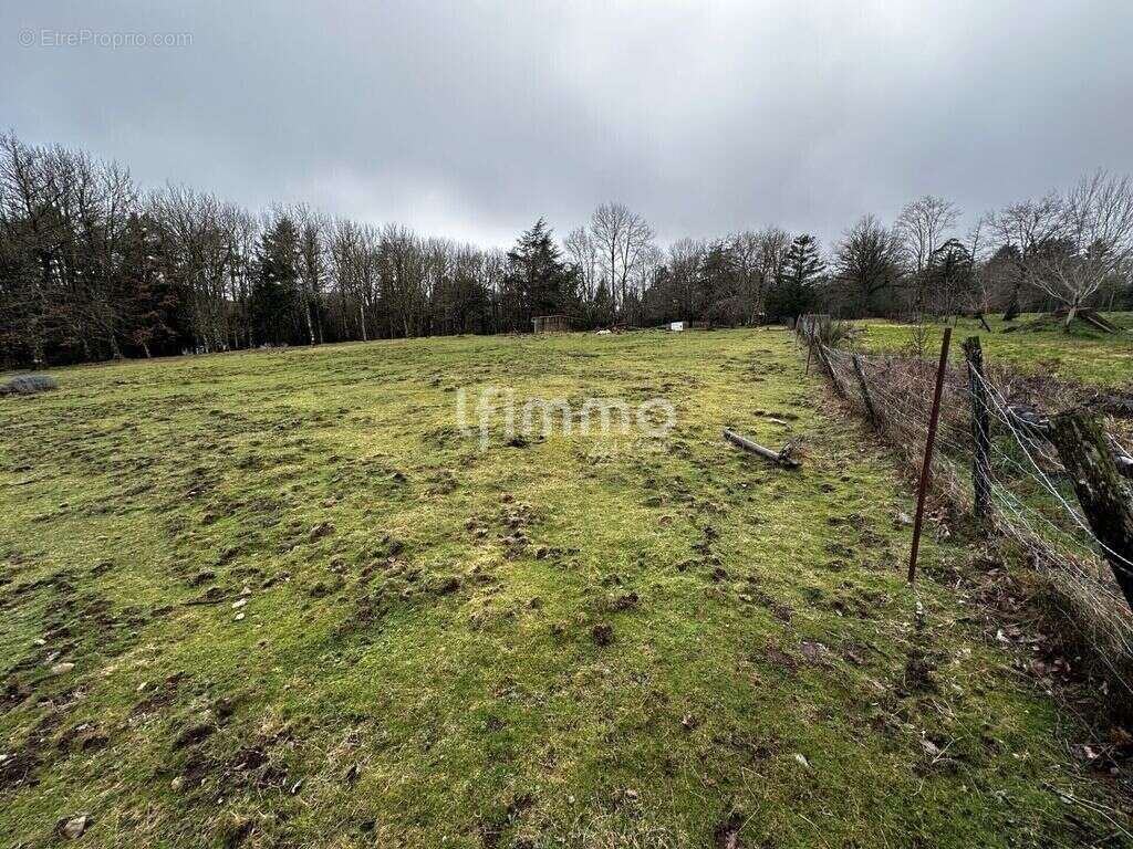 Terrain à FONTIERS-CABARDES