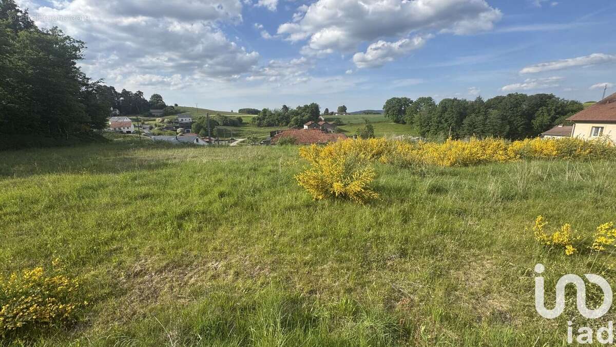 Photo 2 - Terrain à HADOL