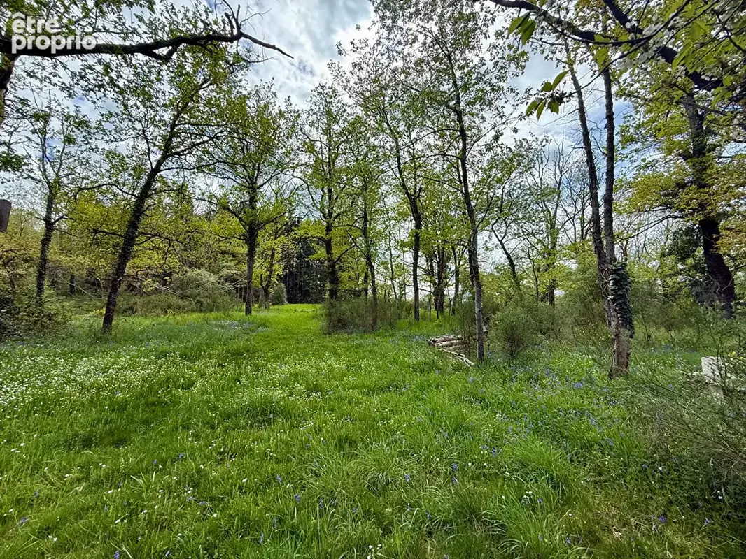 Etang Lamaids 9000 m2 sur terrain de 2 hectares 3930m2 avec chalet - photo 2