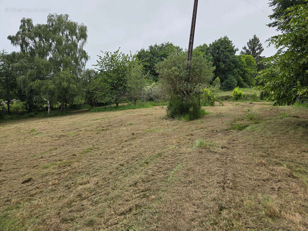 Terrain constructible de 2402m² - photo 3