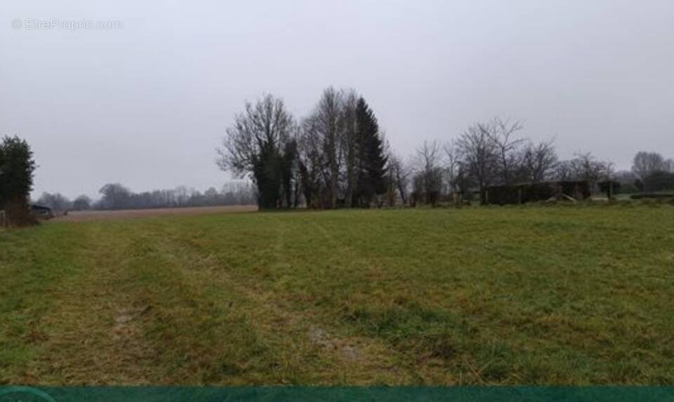 Terrain à MOYAUX
