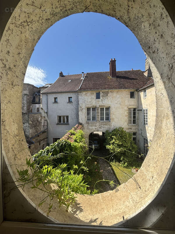 Belle demeure au centre ville de chatillon sur seine (21) avec cour - espace de nature - photo 24