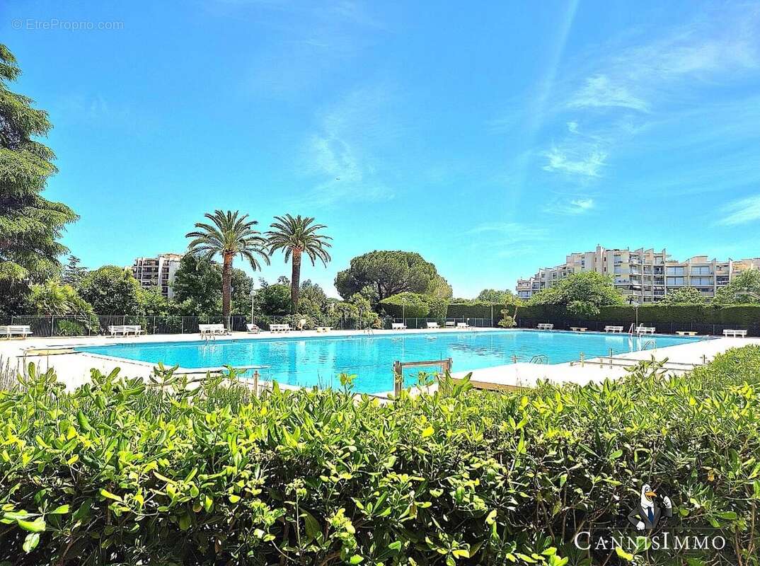 NEW! MANDELIEU MARINA Adresse Exclusive 3p rénové cave et parking - photo 8