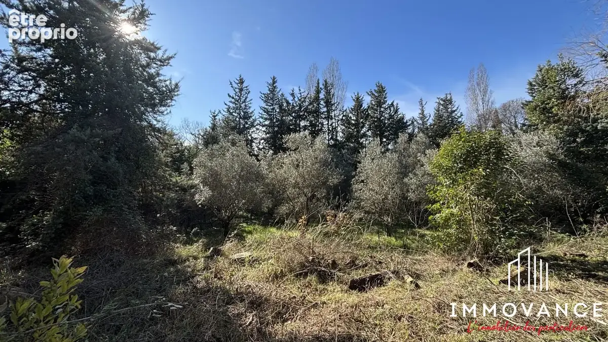 Terrain 1 519 m² à vendre à Juvignac (34990) - photo 2