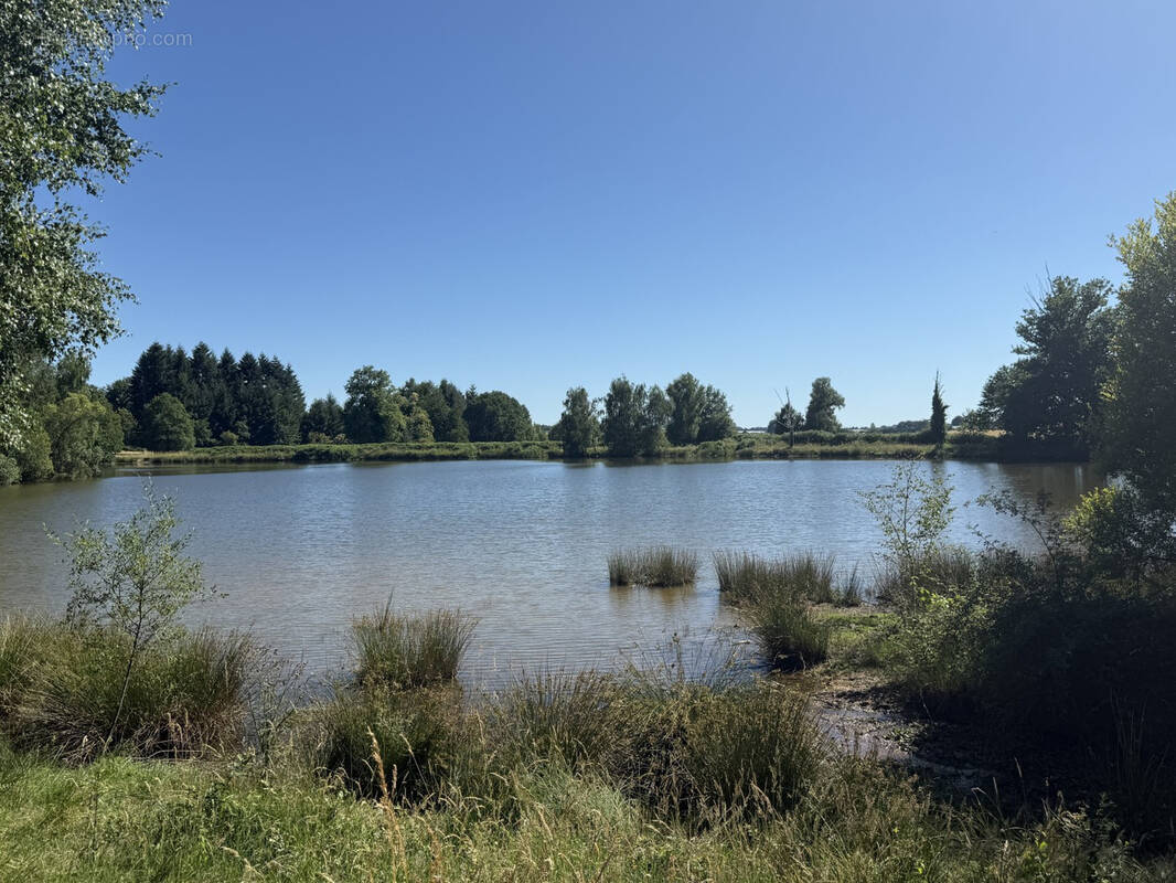 Terrain à BEYSSENAC